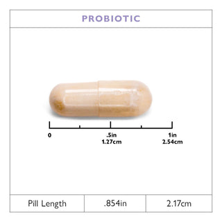 Celebrate® BALANCE Probiotic + Prebiotic 